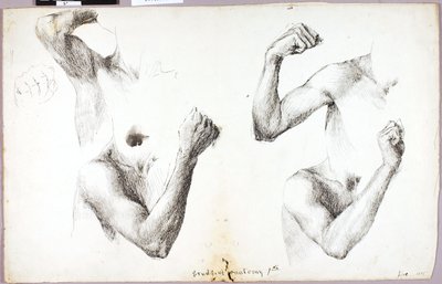  av Solon H. Borglum