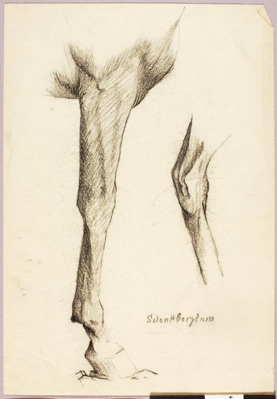  av Solon H. Borglum