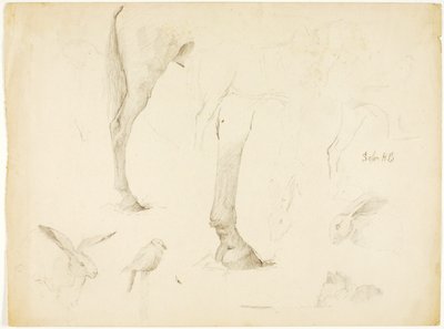  av Solon H. Borglum