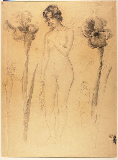  av Solon H. Borglum