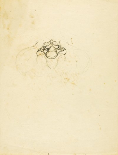  av Solon H. Borglum