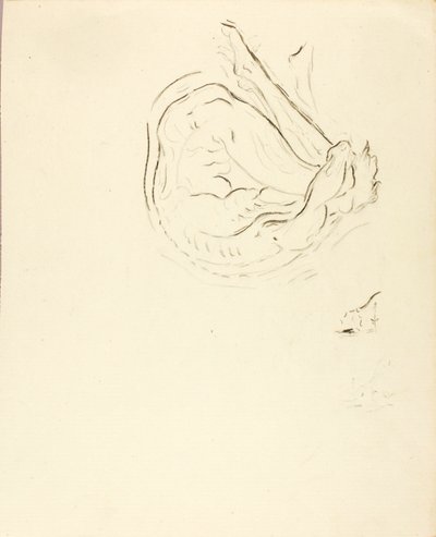  av Solon H. Borglum