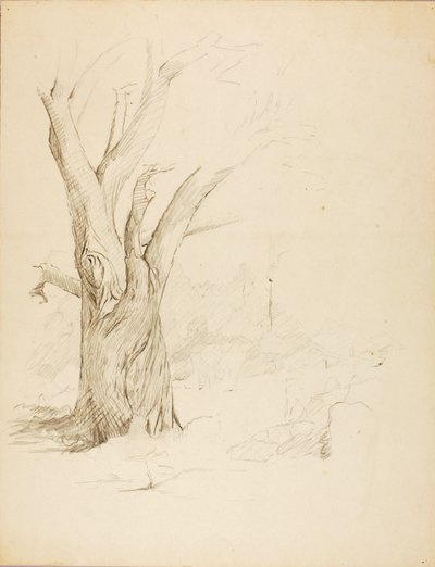 av Solon H. Borglum