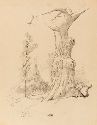  av Solon H. Borglum