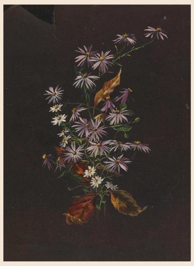 Høstbukett, ca. 1890 av Sophia L. Crownfield