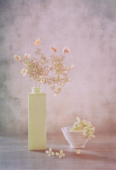 Delikat pastell-stillbilde av Sophie Pan