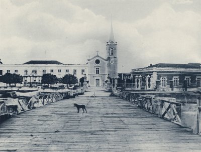 En kobling med den gamle verden, Mosambik (s/hvitt bilde) av South African Photographer