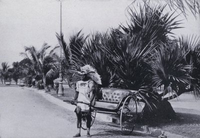 Kjører Rickshaws ved Bay Esplanade, Durban (O/O-bilde) av South African Photographer