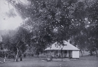 Mitchell Park, Durban (s/hvitt bilde) av South African Photographer