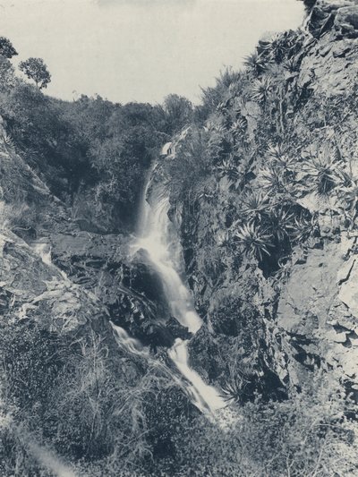 Strubens foss (s/hvitt bilde) av South African Photographer
