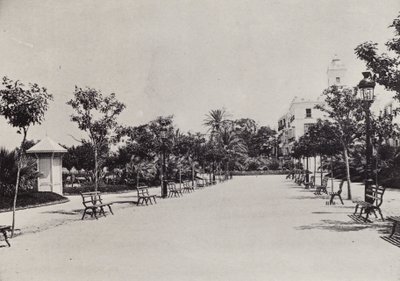 Cadiz: Alameda de Apodaca (s/hvitt bilde) av Spanish Photographer