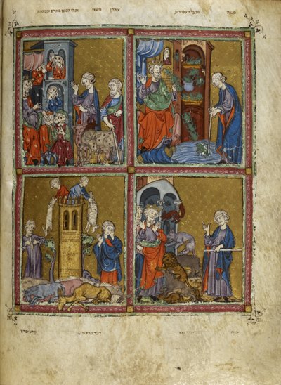 Legge til. 27210, f.12v Scener fra Exodus: Plagene med lus, frosker, murrain og pest, illustrasjoner fra 
