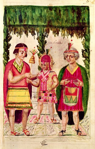 Illustrasjon av Cincheroca, fra 