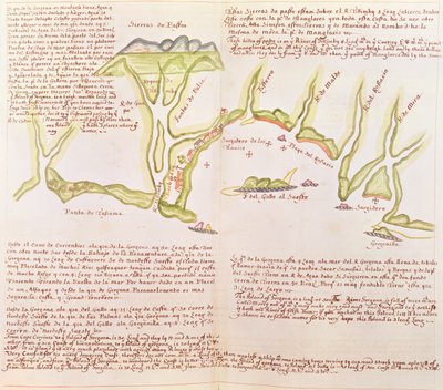 Øya Gallo, Ecuador, ca. 1530-41 (vellum) av Spanish School