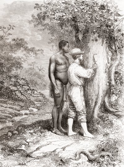 Jules Crevaux, under sin utforskning av Fransk Guyana i 1878, skåret initialene sine på et tre ved bredden av elven Oyapock eller Oiapoque av Spanish School