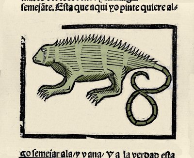 Representasjon av en leguan. Gravering fra boken "General history of the Indias, islands and fastland of the ocean sea"" av Gonzalo Fernandez de Oviedo (Gonzalo) eller Fernandez de, ou Hernandez de Oviedo y Valdes (1478-1557) av Spanish School