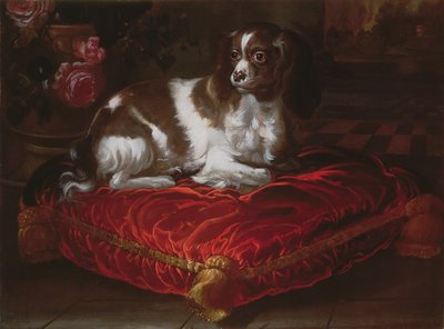 Spaniel på en pute av Spanish School