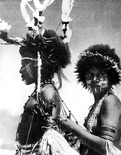 Malte krigere, Papua, New Guinea, 1936. av Sport and General