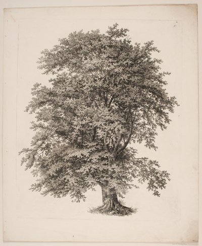 "Studier etter naturen med hensyn til landskapstegning av S.H. Petersen", nr. 2 av Søren Henrik Petersen