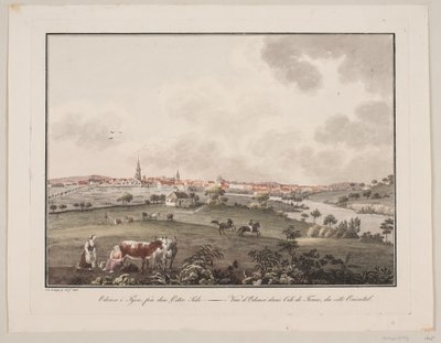 Odense på Fyn, fra østsiden av Søren L. Lange