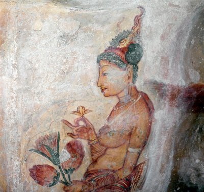Utsikt over hushjelpen av Sri Lankan School
