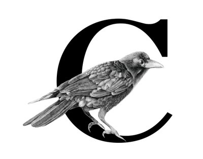 C er for Crow, 2018 (grafittblyant og digital) av Stacy Hsu