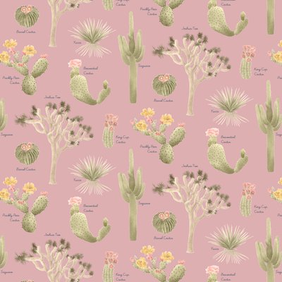 Mojave Desert Cacti-mønster, 2021 (grafittblyant og digital) av Stacy Hsu
