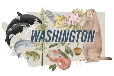 Washington State Symbols, 2018 (grafittblyant og digital) av Stacy Hsu