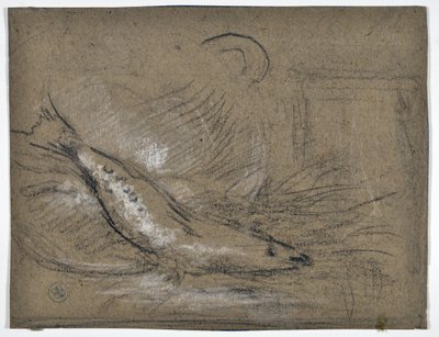 Fiskestudie (tegning) av Stanislas Torrents y de Amat