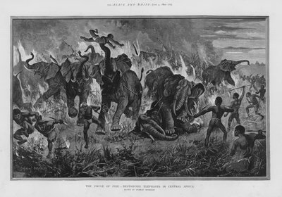 Ildsirkelen - ødelegger elefanter i Sentral-Afrika (litho) av Stanley (after) Berkeley