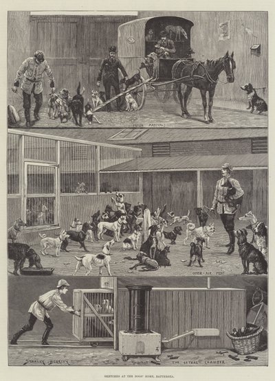Skisser på hundehjemmet, Battersea av Stanley Berkeley