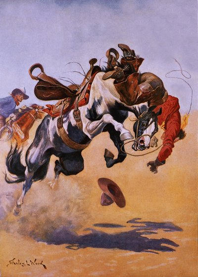 Bucked! av Stanley L. Wood
