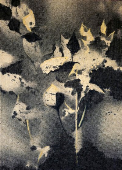 Mørke botaniske former av Stefano Mazzolini