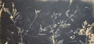 Mørk botanisk studie av Stefano Mazzolini