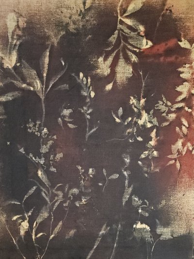 Mørk botanisk studie av Stefano Mazzolini