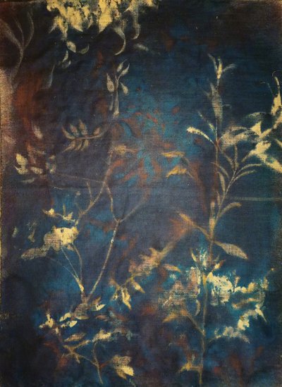 Dypblå botaniske motiver av Stefano Mazzolini