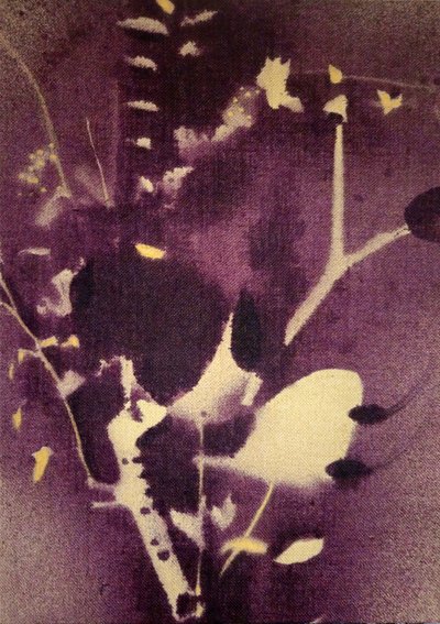 Dyplilla botaniske motiver av Stefano Mazzolini