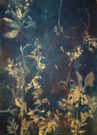 Eteriske blå botaniske motiver av Stefano Mazzolini