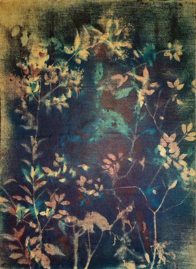 Eteriske blå botaniske motiver av Stefano Mazzolini