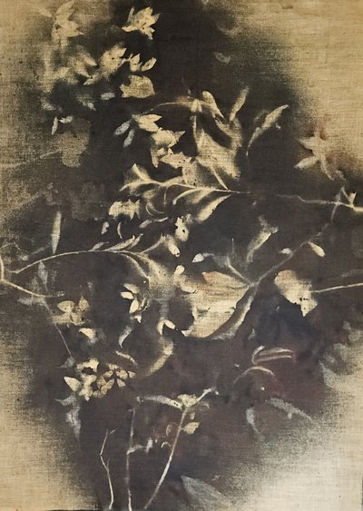 Stemningsfulle blomsterskygger av Stefano Mazzolini