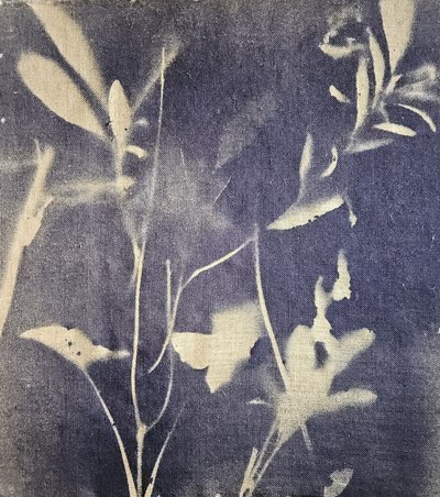 Vintage botaniske blåtoner av Stefano Mazzolini