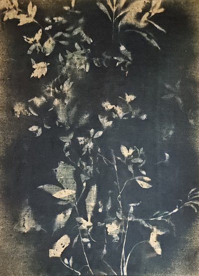 Botaniske blader i vintagestil av Stefano Mazzolini