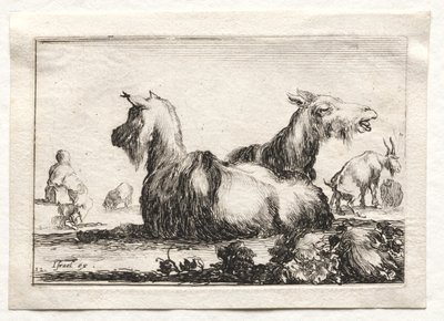 Caprices: To geiter. av Stefano della Bella