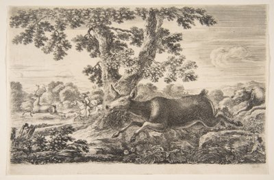 Hjortejakt, fra Animal hunts Jakt på forskjellige dyr, ca. 1654. av Stefano della Bella