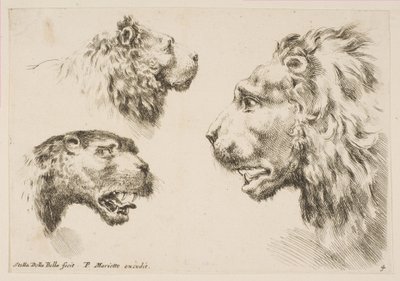 Hoder til tre løver, ca. 1641. av Stefano della Bella