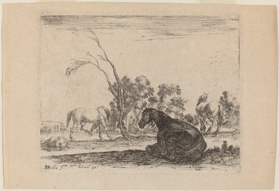 Hester på beite av Stefano della Bella