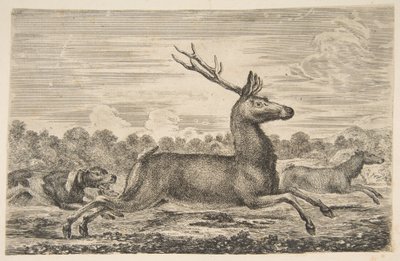 Hunder som jager en hjort og en doe, ca. 1654. av Stefano della Bella