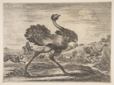 Strutsjakt, fra Animal hunts Jakt på forskjellige dyr, ca. 1654. av Stefano della Bella