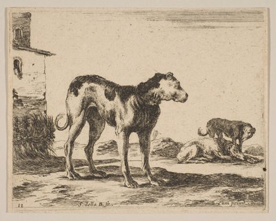 Plate 11: hunder, fra Diverse dyr Diversi animali, ca. 1641. av Stefano della Bella