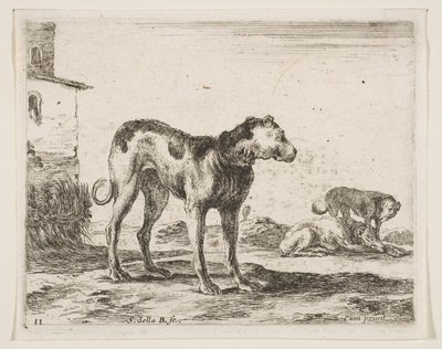 Plate 11: hunder, fra Diverse dyr Diversi animali, ca. 1641. av Stefano della Bella
